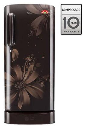 LG Direct Cool 235 L Single Door Refrigerator (GL-D241AHAN Hazel Aster)