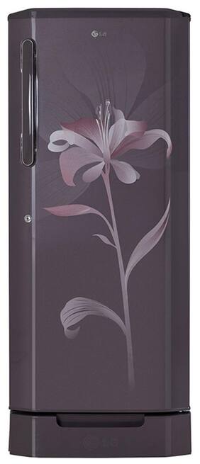 LG Direct Cool 235 L Single Door Refrigerator (GL-D245BGLN Graphite Lily)