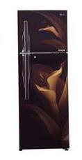 LG Door Cooling 360 L Double Door Refrigerator (GL-T402RALU Amber Luxe)