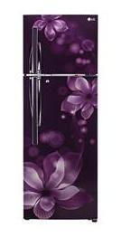LG Frost Free 260 L Double Door Refrigerator (GL-T292RPOY Purple Orchid)