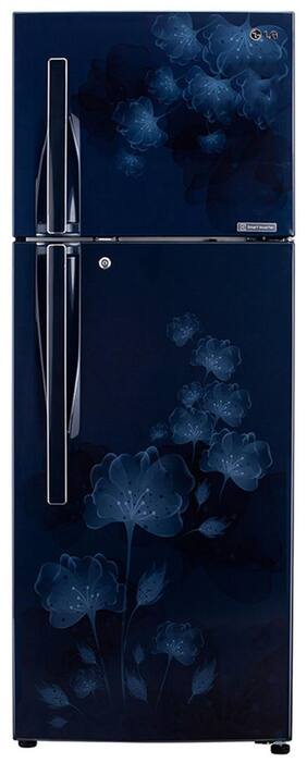 LG Frost Free 258 L Double Door Refrigerator (GL-D292JMFL Marine Florid)