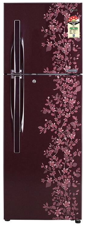 LG Frost Free 255 L Double Door Refrigerator (GL-C282RSPL Scarlet Paradise)