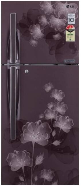 LG Frost Free 260 L Double Door Refrigerator (GL-I292RGFL Graphite Florid)