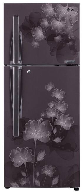 LG Frost Free 310 L Double Door Refrigerator (GL-D322JGFL Graphite Florid)