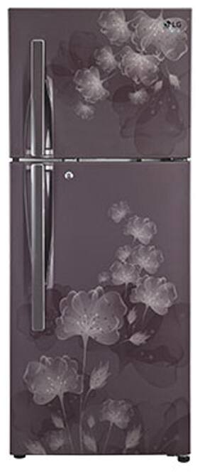 LG Frost Free 284 L Double Door Refrigerator (GL-I302RGFL Graphite Florid)