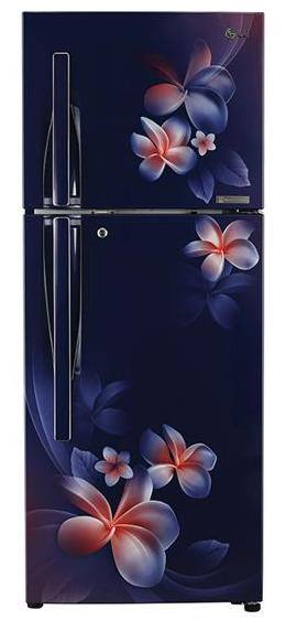 LG Frost Free 308 L Double Door Refrigerator (gl-T322RBPN.ABPZEBN Blue Plumeria)