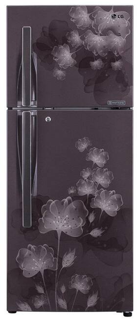 LG Frost Free 285 L Double Door Refrigerator (GL-D302JGFL Graphite Florid)