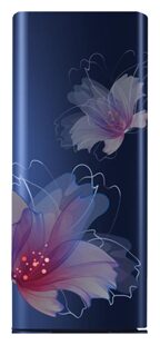 

Panasonic 202 L 2 star Direct cool Refrigerator - NR-AC20SA3X1 Blue floral