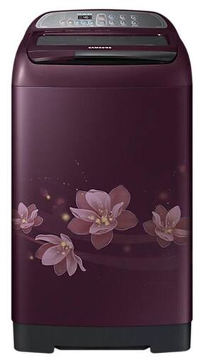 Samsung 6.5 kg Fully Automatic Top Load Washing Machine (WA65M4020HP, Magnolia Plum)