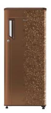 Whirlpool Direct Cool 200 L Single Door Refrigerator (215 Icemagic Powercool Prm 4S, Gold Exotica)