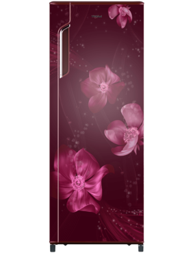Whirlpool Direct Cool 280 Single Door Refrigerator 305 IMFRESH PRM 4S WINE MAGNOLIA Wine Magnolia