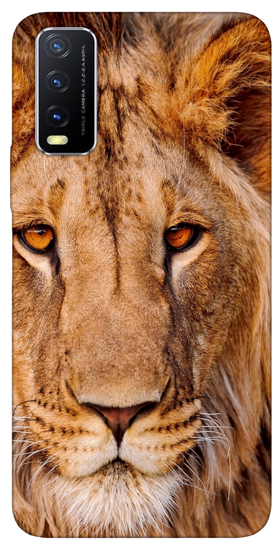

A TO ZZ Polycarbonate Hard Back Cover For Vivo Y20i ( Multi )