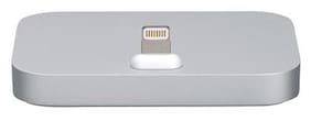 Apple Dock Charger ( Grey )