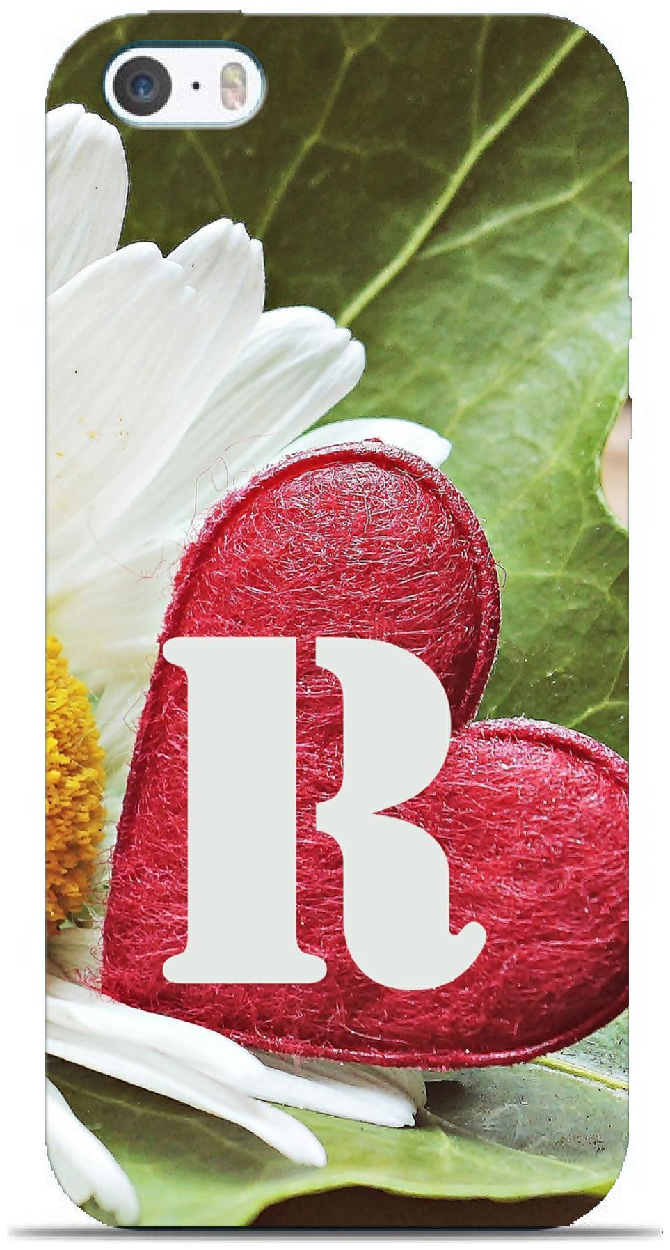 

BIGFAME Silicone Back Cover For Apple iPhone 5s ( Multi )