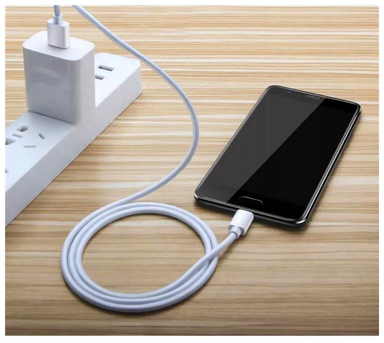 

AZANIA Data Charging Type-C Cable ( 1 m Assorted )