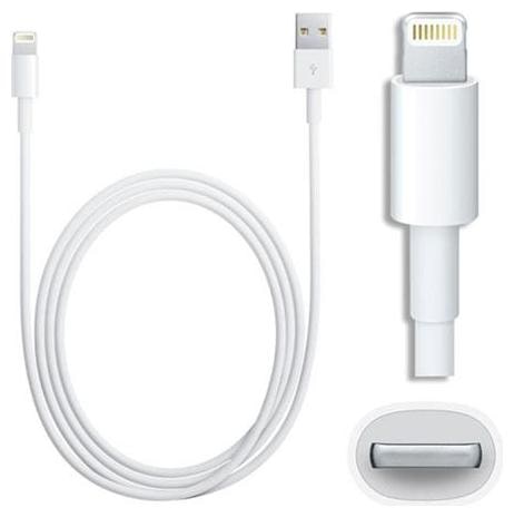 

BIG CAT Data Charging 8 Pin (Lightning) Cable ( 1 m Assorted )