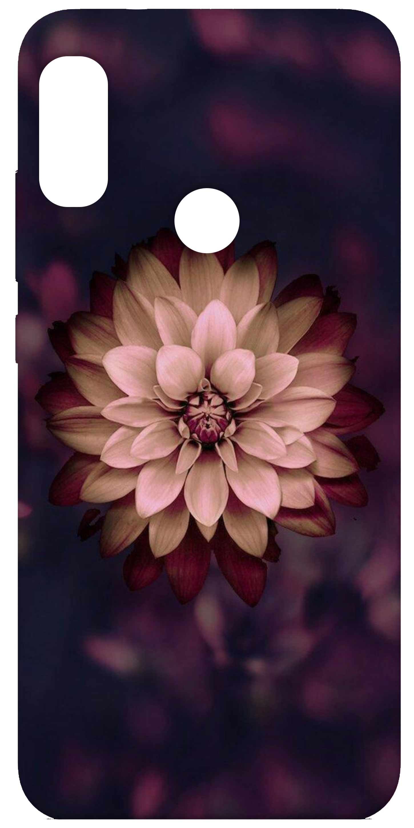 

BMB SHOPPE Back Cover For Mi Redmi Y2 (Multi)