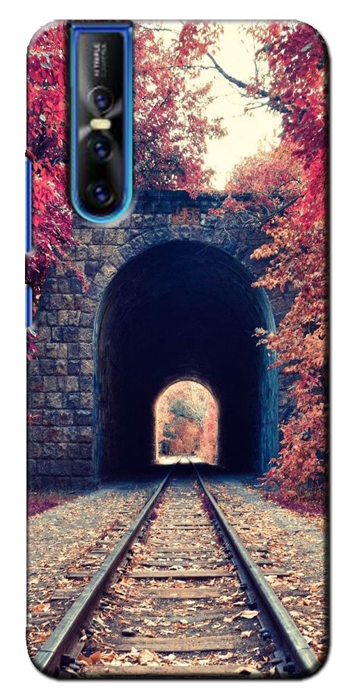 

CASE KING Polycarbonate Designer Back Cover For Vivo V15 Pro ( Multi )