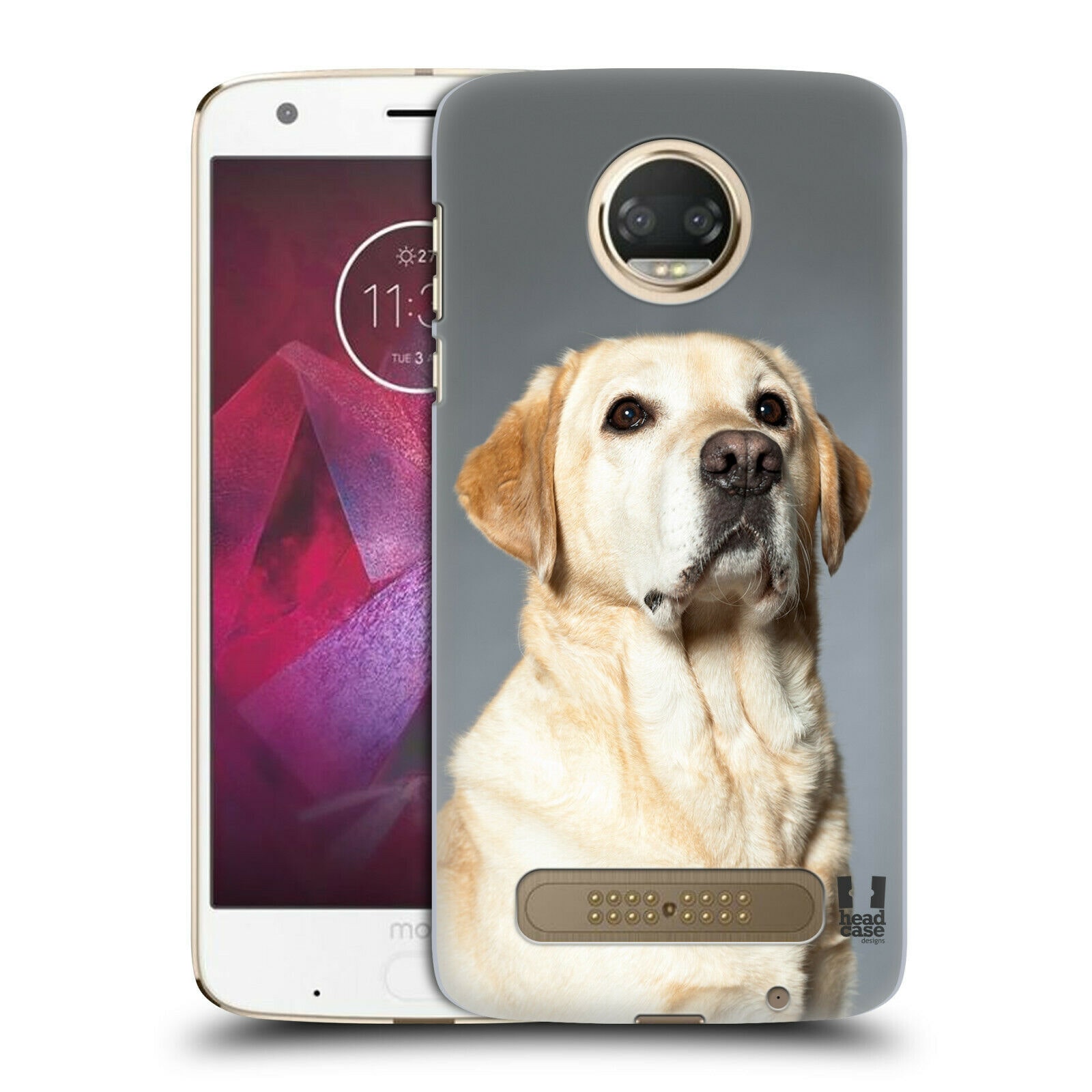 

HEAD CASE DESIGNS POPULAR DOG BREEDS HARD BACK CASE FOR MOTOROLA PHONES 1