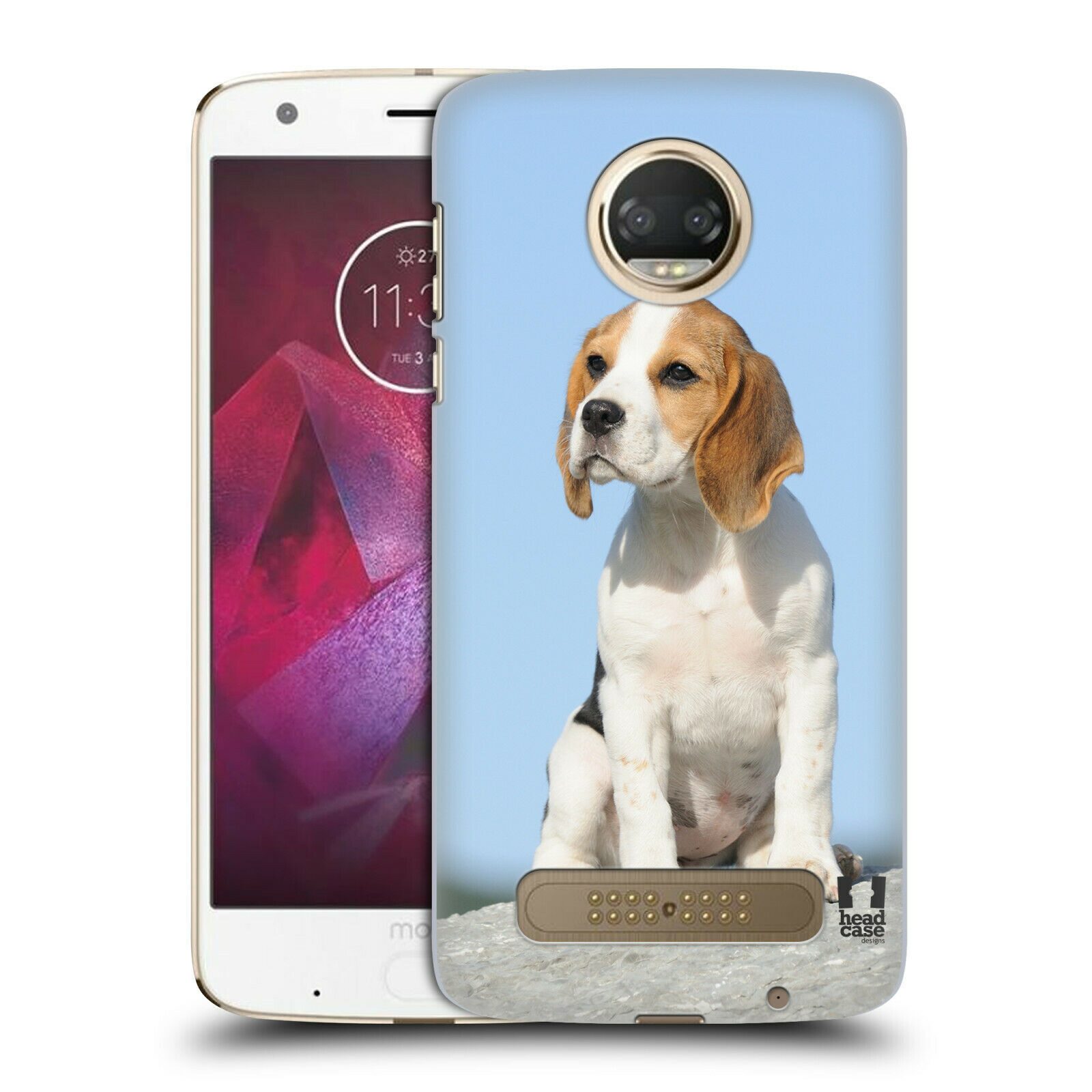 

HEAD CASE DESIGNS POPULAR DOG BREEDS HARD BACK CASE FOR MOTOROLA PHONES 1