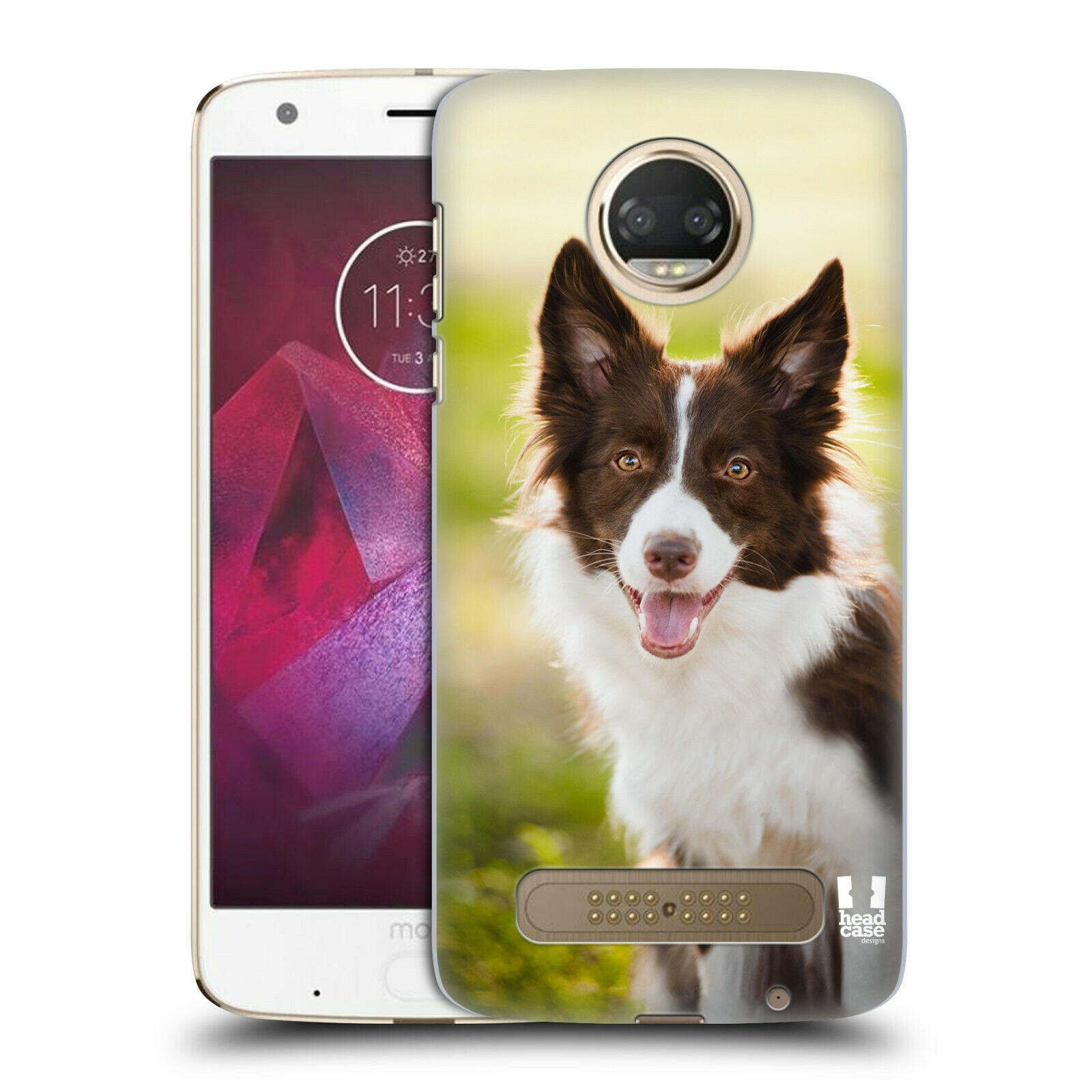 

HEAD CASE DESIGNS POPULAR DOG BREEDS HARD BACK CASE FOR MOTOROLA PHONES 1