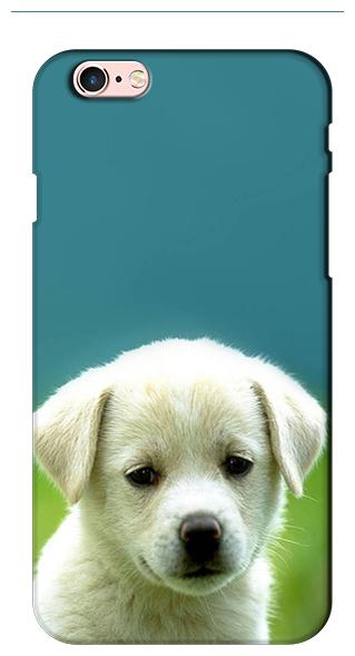 

SY Gifts Plastic Back Cover For Apple iPhone 5 ( Multi )