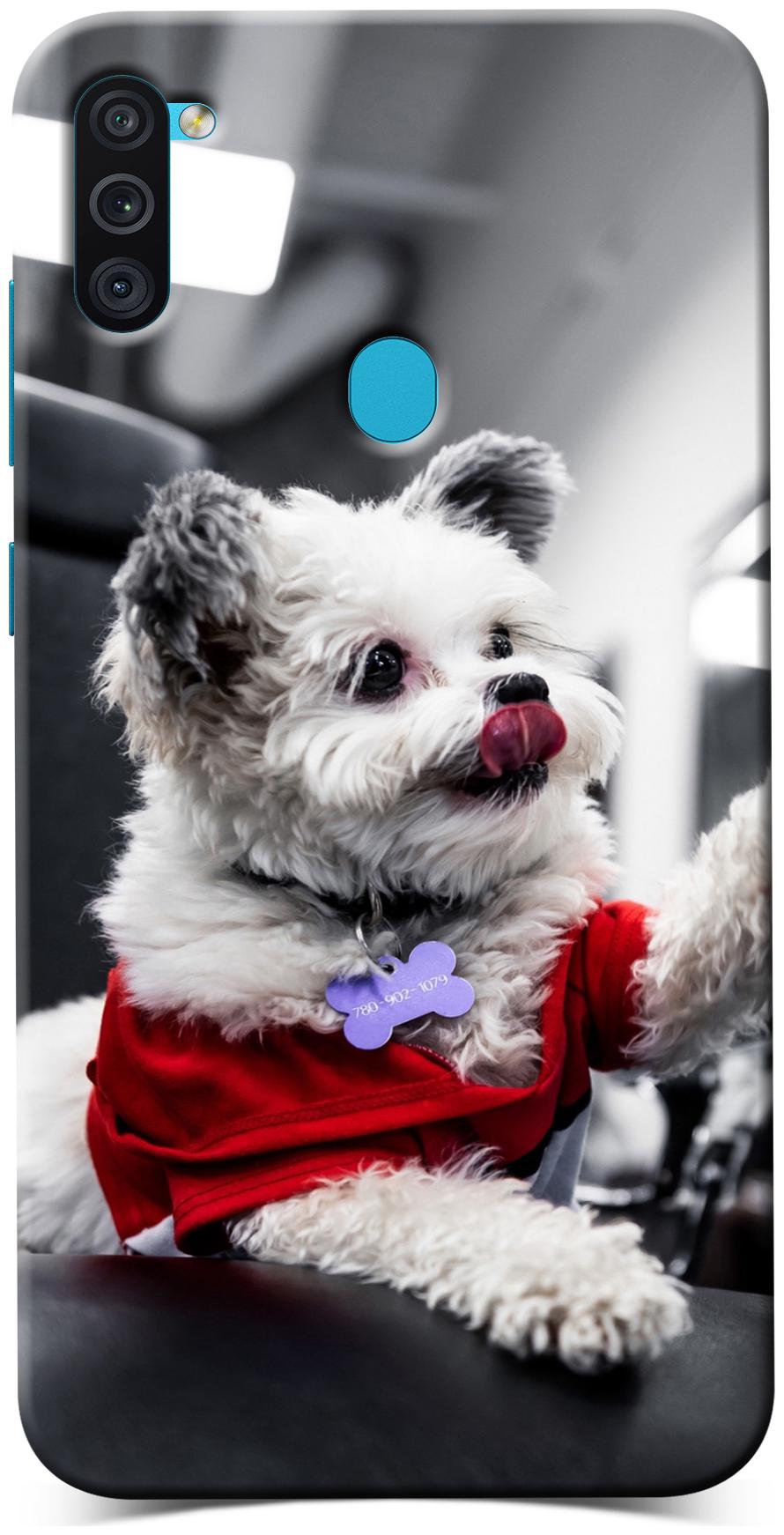 

Kelsy Back Cover for Samsung Galaxy M11