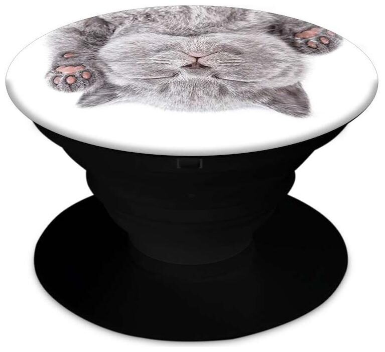 

OnHigh Designer Printed Pop Socket Collapsible Grip Stand for Phones and Tablets - Sleepy Kitten face