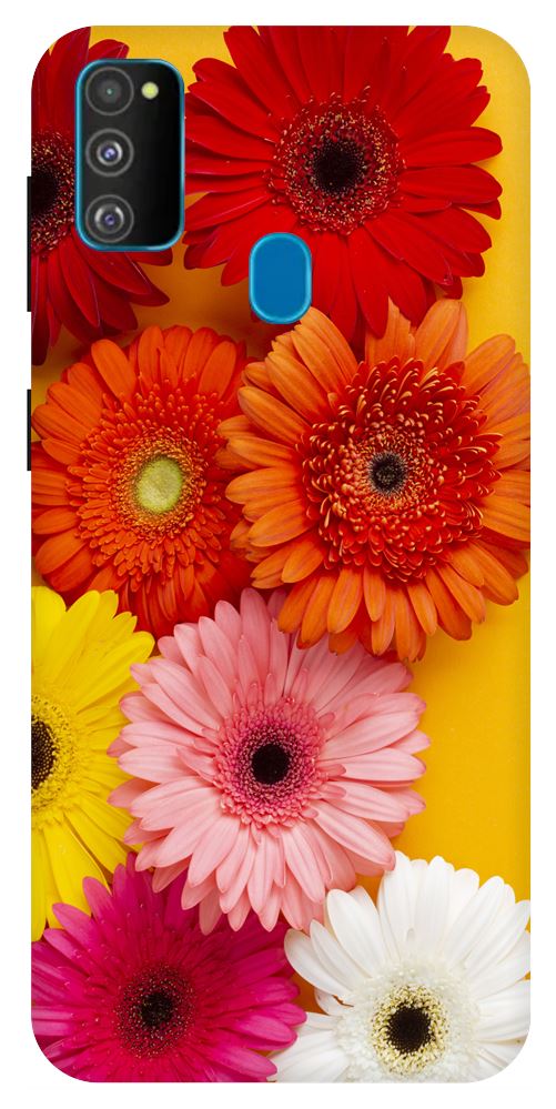 

Rehaworld Silicone Back Cover For Samsung Galaxy M30s ( Multi )