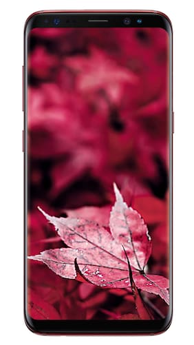 Samsung Galaxy S8 64 GB (Burgundy Red)