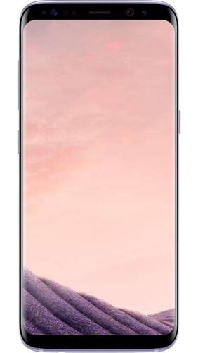 Samsung Galaxy S8 Plus 64 GB (Orchid Gray)