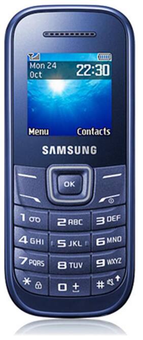 Samsung Guru E1200 (Blue)