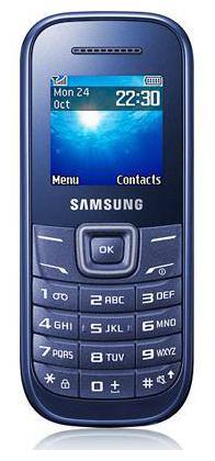 Samsung Guru E1200 (Blue)