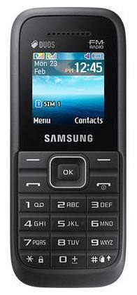 Samsung Guru Fm Plus B310E (Black)