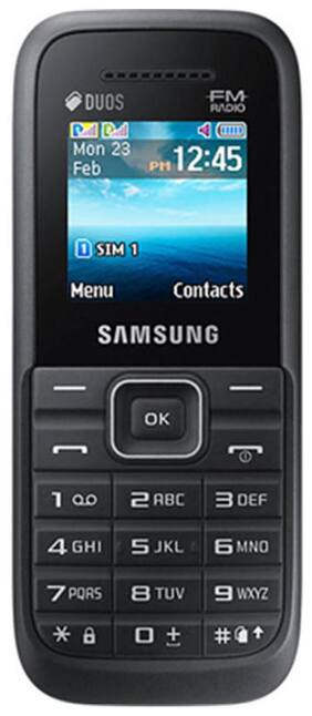 Samsung Guru Fm Plus B310E (Black)