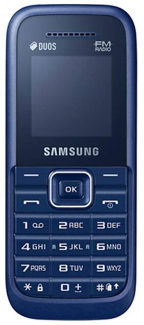Samsung Guru Plus (Blue)