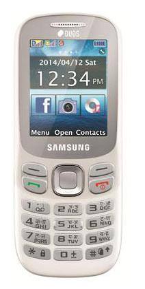 Samsung Metro 313 Dual Sim Mobile (White)