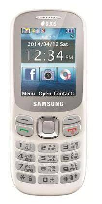 Samsung Metro 313 Dual Sim Mobile (White)