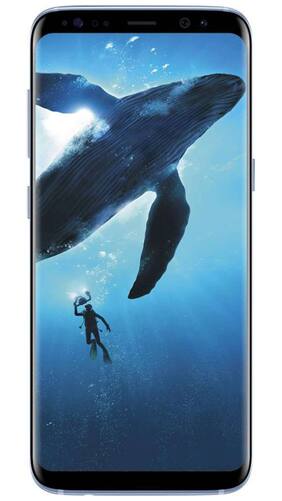 Samsung S8+ 64 GB (Coral Blue)