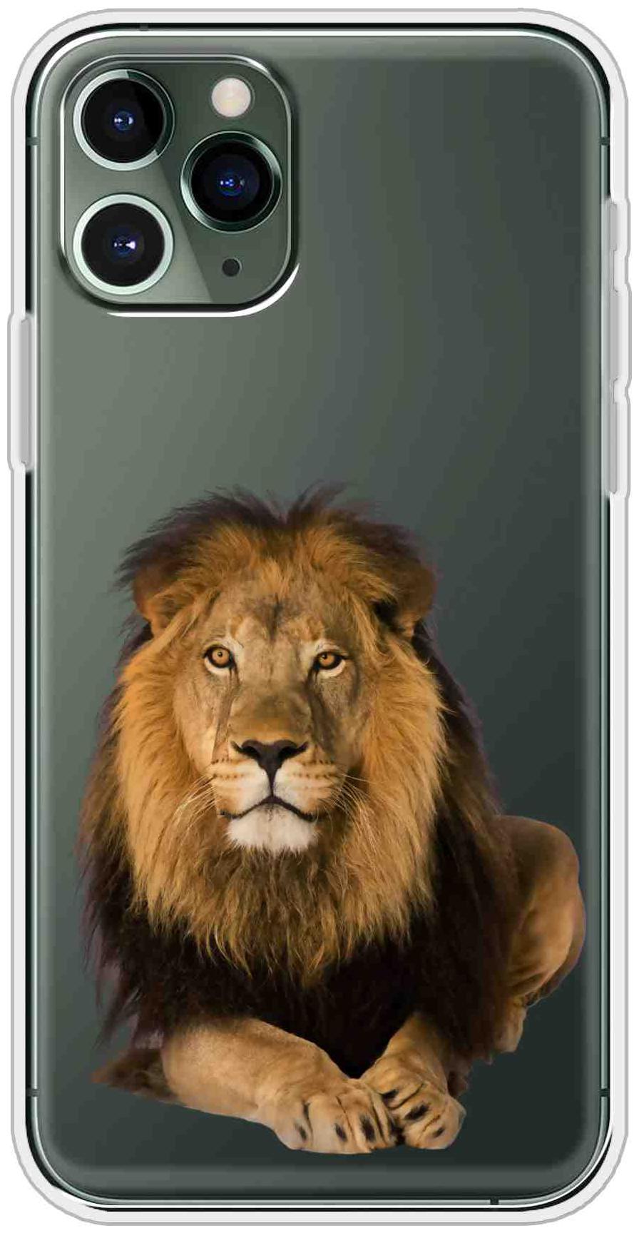 

SVISINDIA Silicone Back Cover For Apple iPhone 11 Pro ( Multi )