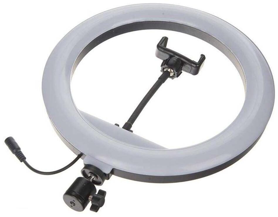 

TSV Big LED Ring Light for Camera Smartphone to Capture Your Photo and Video and Other Phone s App with 3120 Tripod Stand for Tiktok