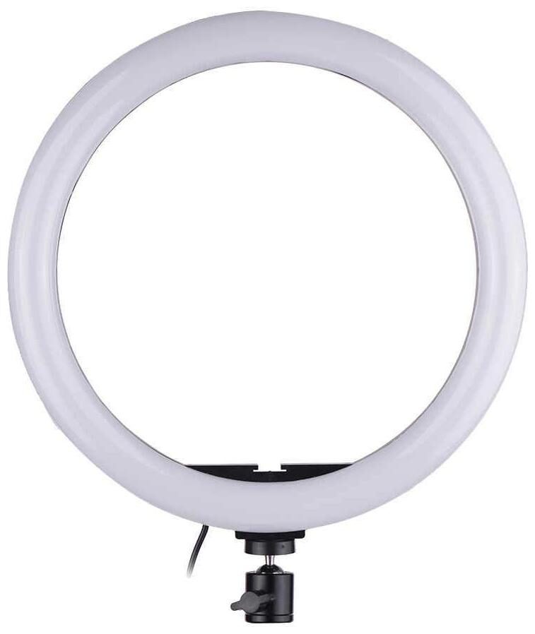 

TSV Big Selfie LED Ring Light with 3110 Portable Tripod for You Tube Live Stream Makeup Mini Camera for Vlog Video Photography