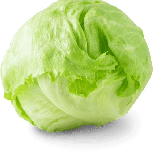 Buy Iceberg Lettuce Online at Low Prices in India