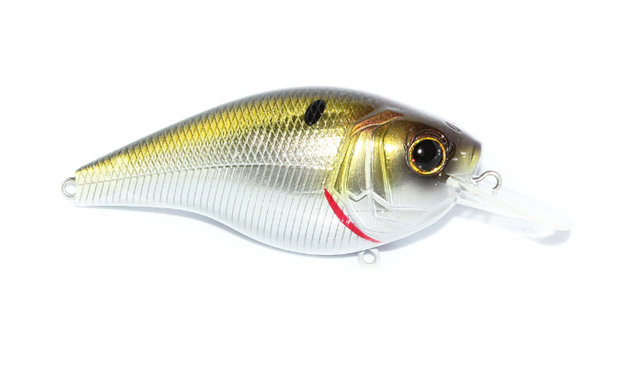 6th Sense Curve 55 /"Ghost Tablerock Shad/"