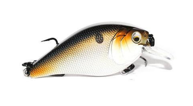 6th Sense Curve 55 /"Ghost Tablerock Shad/"