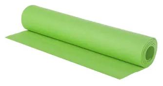 

APNI Market Yoga Mat Gym Exercise Mat Extra Gym Grade 4mm Thick Non-Slip Push Up Mat