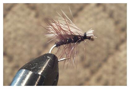 12 Elk Hair Caddis Black Tan Trout Fly Size 10 1 Dozen Dry Flies F726 Sporting Goods Flies Romeinformation It