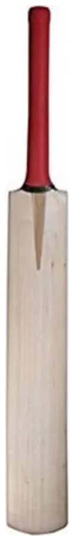 

PC POPULAR WILLOW PLAIN BATS SHORT HANDLE