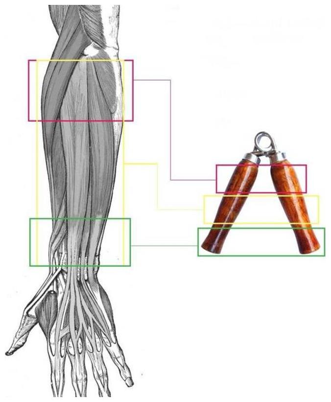 

wooden handgrip