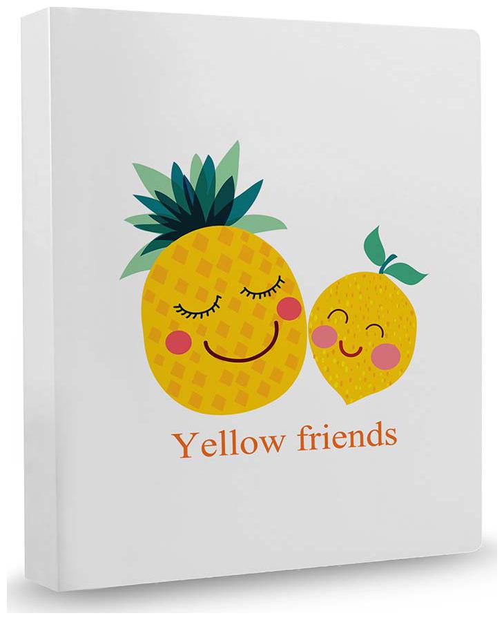

100yellow Printed File Folder Case A4 Size File Folder Binder Ring Binder for Office